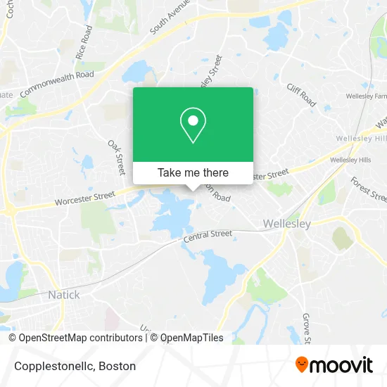 Copplestonellc map