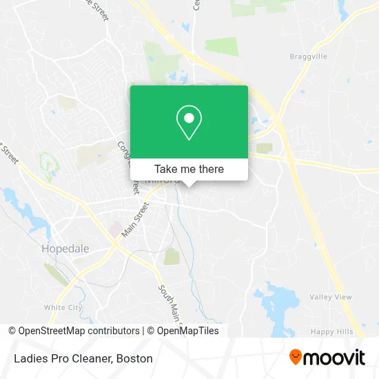 Ladies Pro Cleaner map