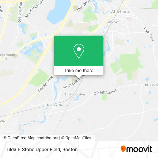 Tilda B Stone Upper Field map