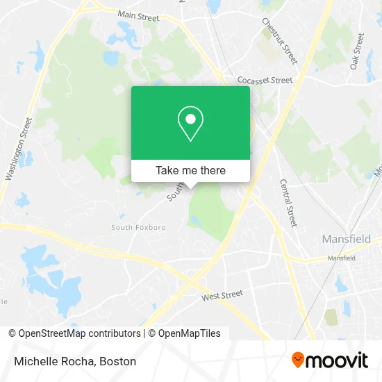 Michelle Rocha map