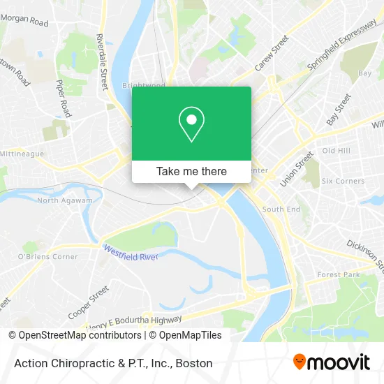 Action Chiropractic & P.T., Inc. map