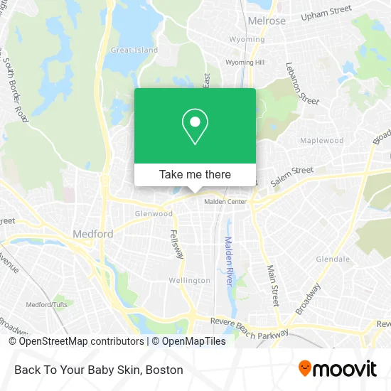 Back To Your Baby Skin map