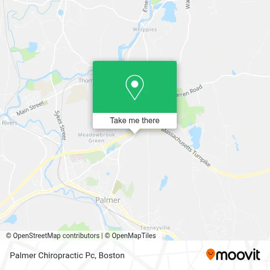 Palmer Chiropractic Pc map