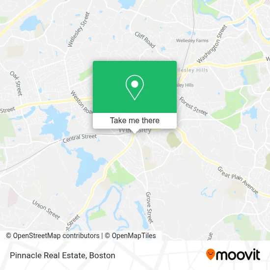 Pinnacle Real Estate map