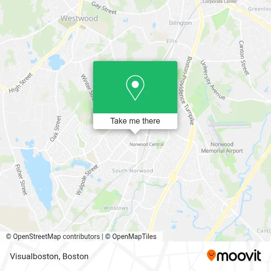 Visualboston map