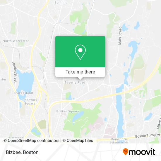 Bizbee map