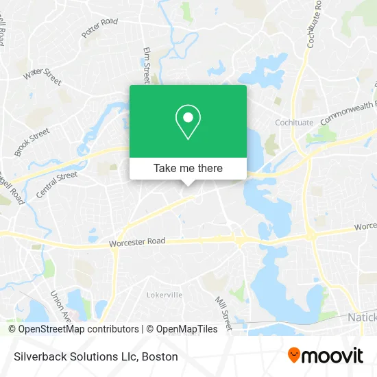 Silverback Solutions Llc map
