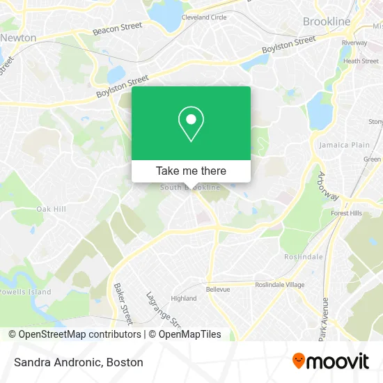 Sandra Andronic map