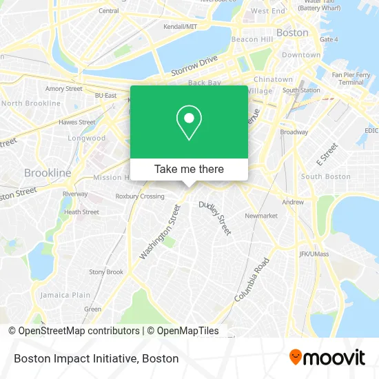 Boston Impact Initiative map