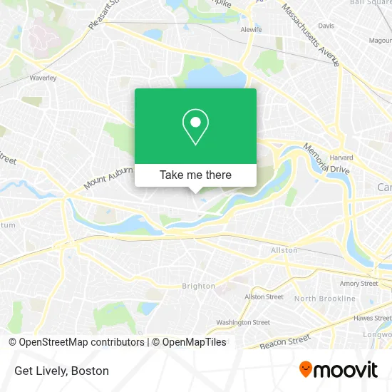 Get Lively map