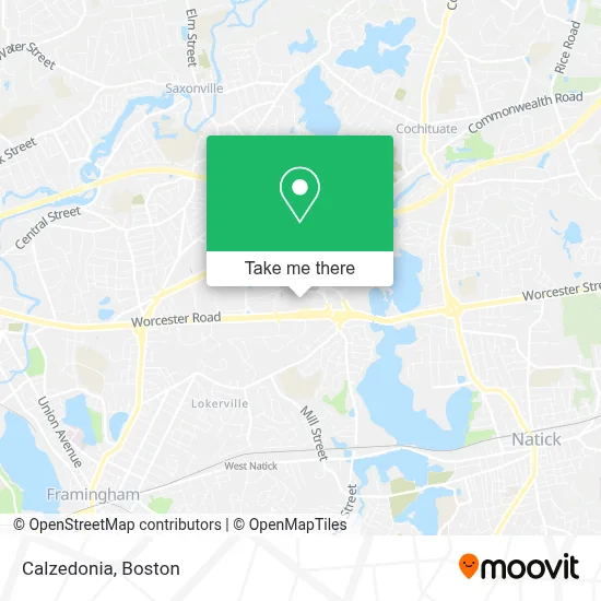 Calzedonia map