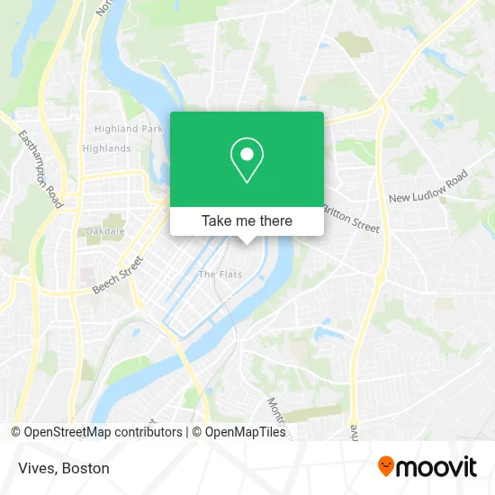Vives map