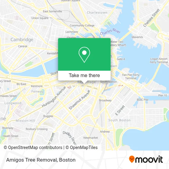 Amigos Tree Removal map