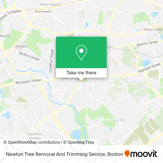 Newton Tree Removal And Trimming Service map