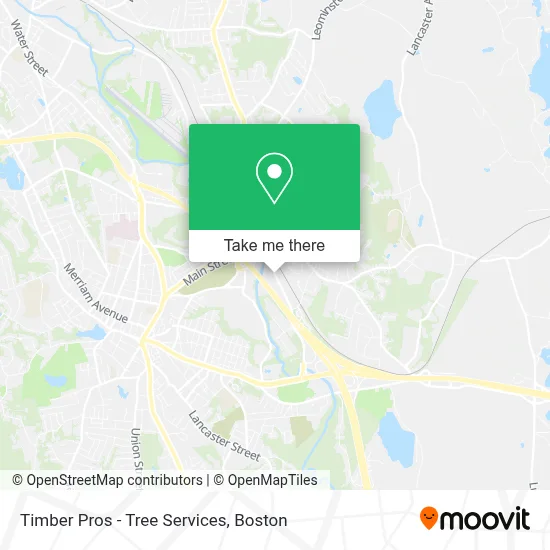 Timber Pros - Tree Services map