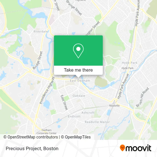 Precious Project map