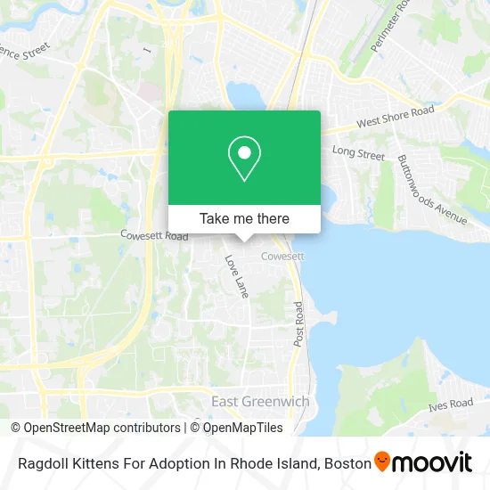 Ragdoll Kittens For Adoption In Rhode Island map