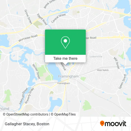 Gallagher Stacey map