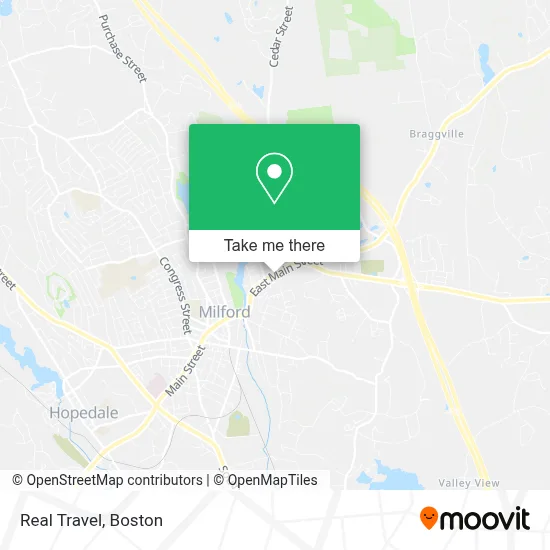 Real Travel map