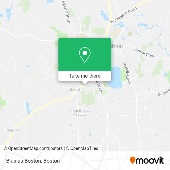 Blasius Boston map