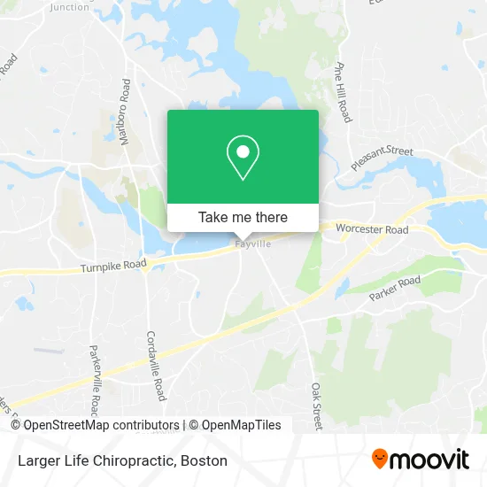 Larger Life Chiropractic map