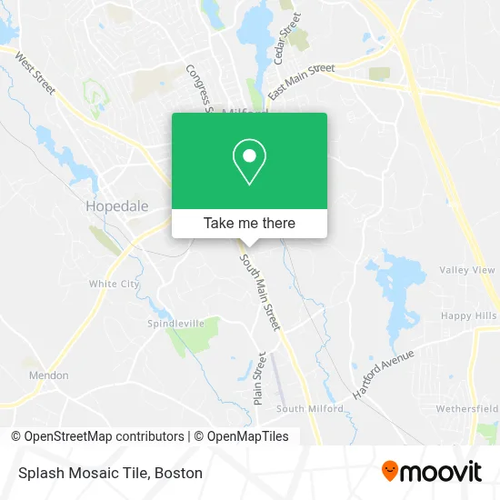 Splash Mosaic Tile map