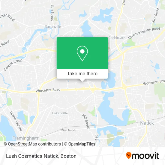 Lush Cosmetics Natick map