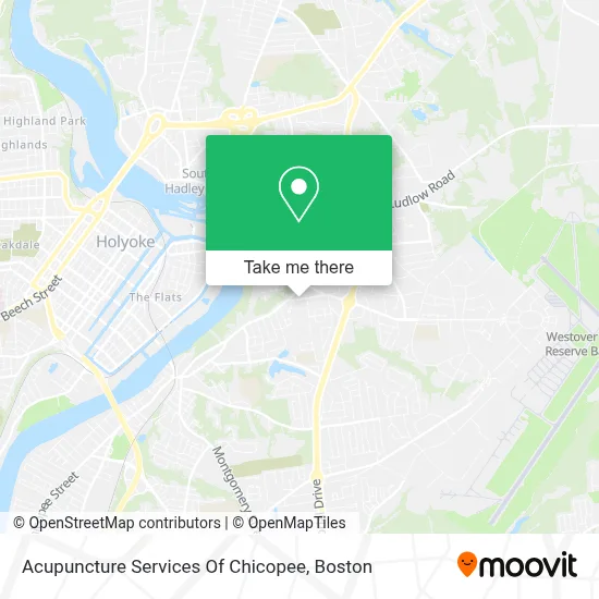 Acupuncture Services Of Chicopee map