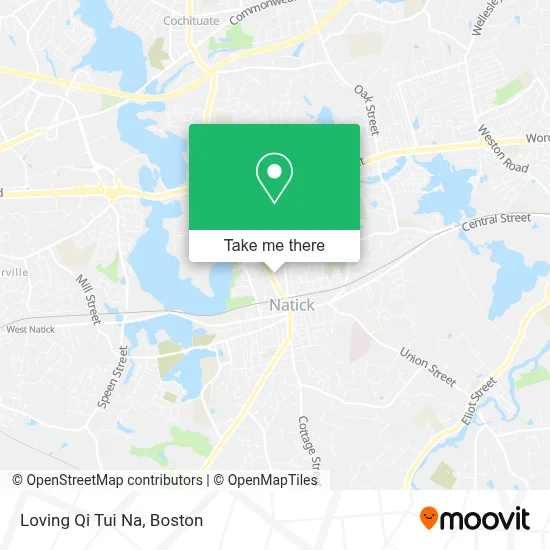 Loving Qi Tui Na map