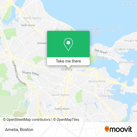 Amelia map