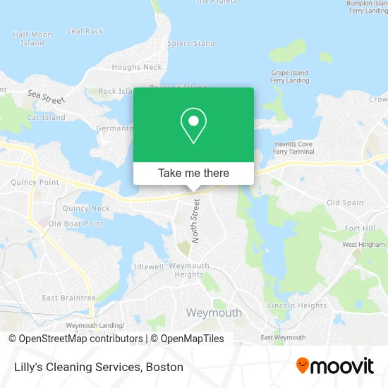 Lilly's Cleaning Services map