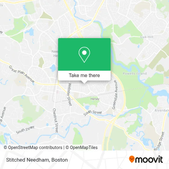 Stitched Needham map