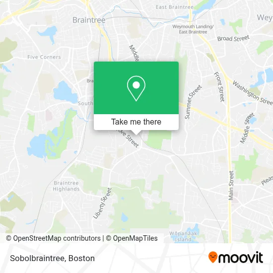 Sobolbraintree map