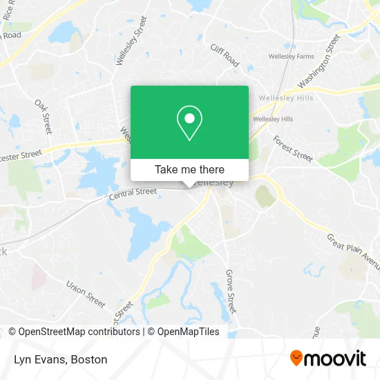 Lyn Evans map