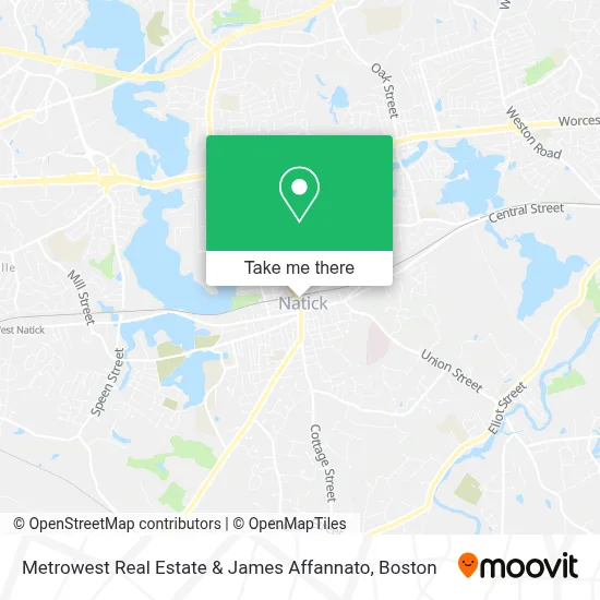 Metrowest Real Estate & James Affannato map