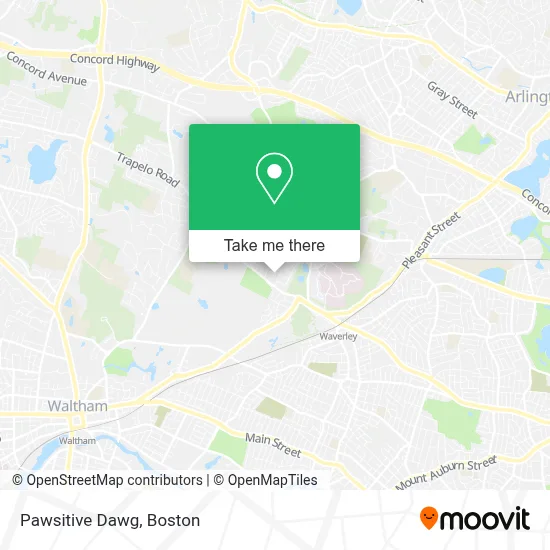 Pawsitive Dawg map