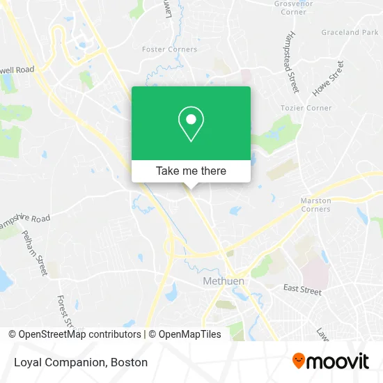 Loyal Companion map