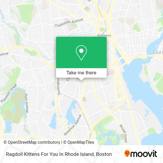 Ragdoll Kittens For You In Rhode Island map