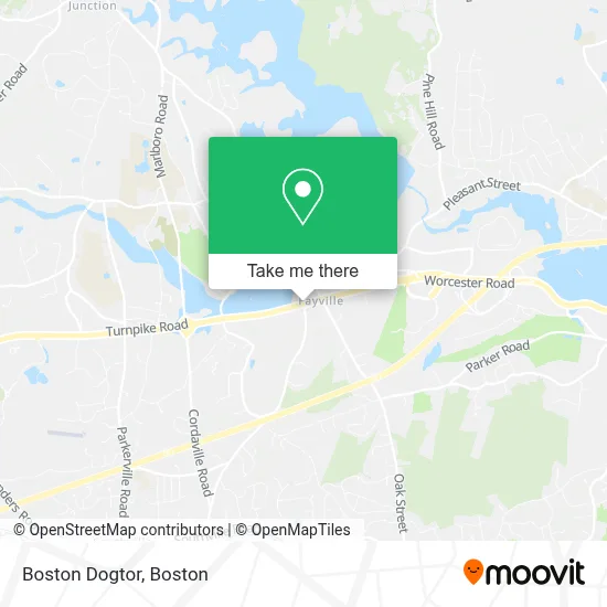 Boston Dogtor map