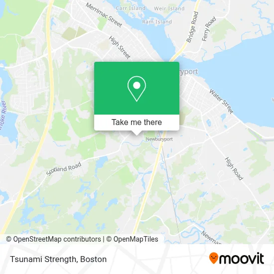 Tsunami Strength map