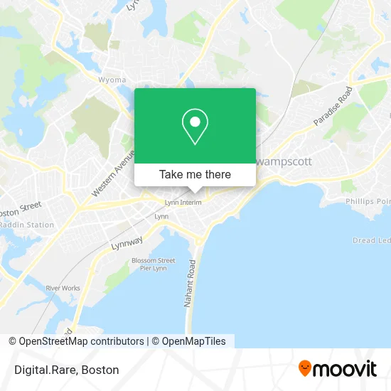 Digital.Rare map