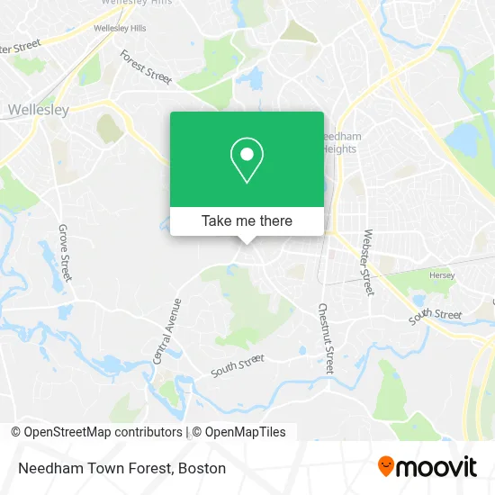 Needham Town Forest map