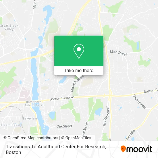 Transitions To Adulthood Center For Research map