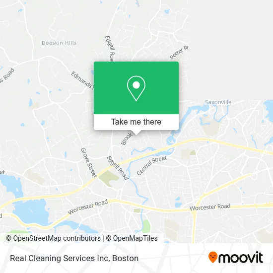 Real Cleaning Services Inc map