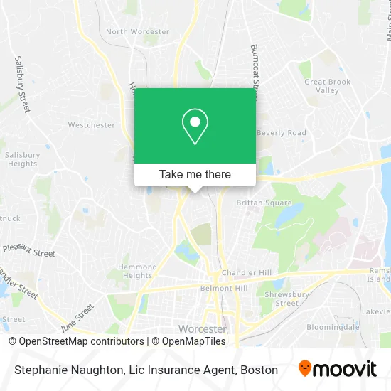 Stephanie Naughton, Lic Insurance Agent map