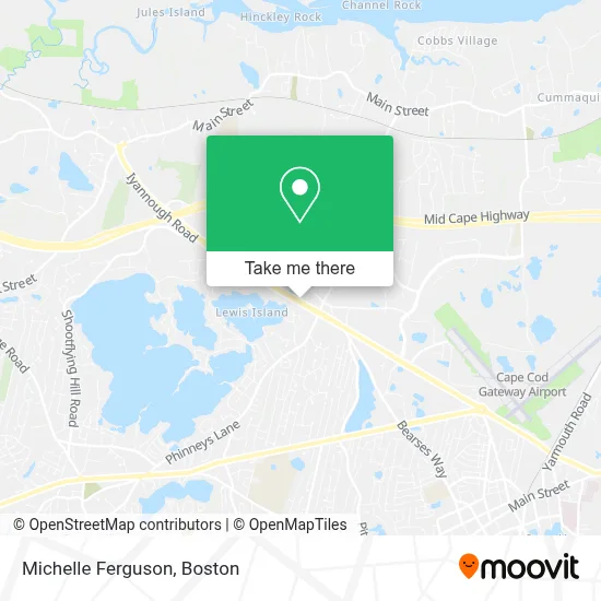 Michelle Ferguson map