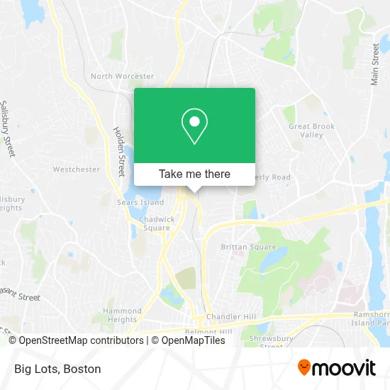 Big Lots map