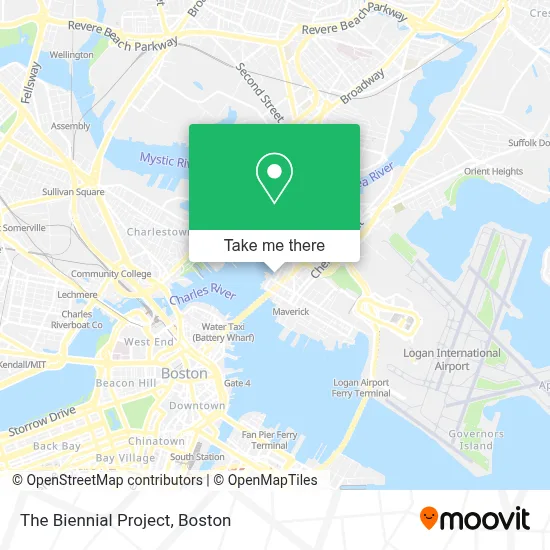 The Biennial Project map