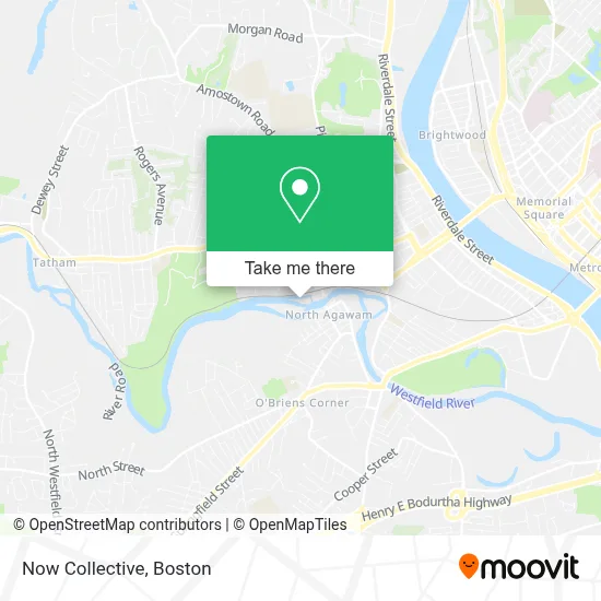 Now Collective map