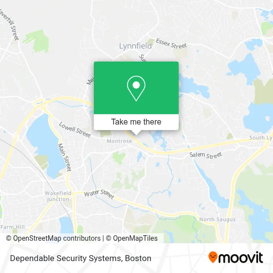 Dependable Security Systems map